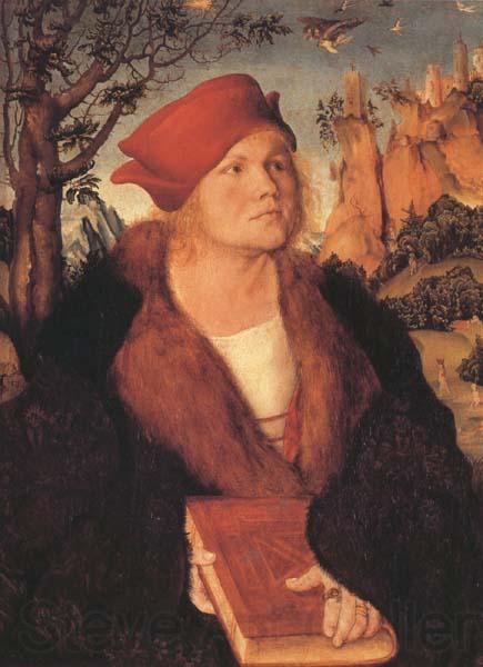 Lucas Cranach the Elder Dr.Johannes Cupinian (mk45) Spain oil painting art